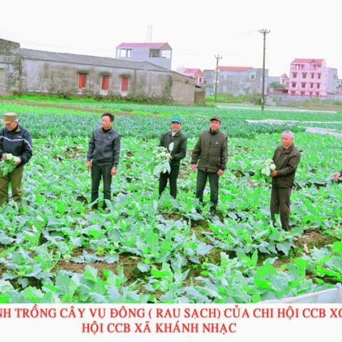 Hội Cựu chiến binh huyện Yên Khánh chung sức xây dựng Nông thôn mới